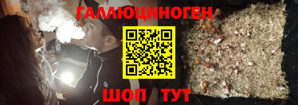 Псилоцибиновые грибы мицелий  как найти закладки  Псилоцибиновые грибы GOLDEN TEACHER  Нижнекамск  Вход с VPN 